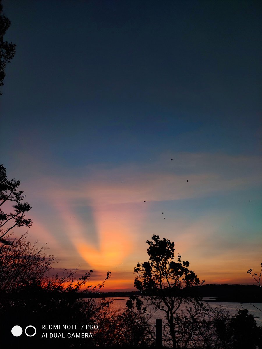 XiaomiHyperOS_'s tweet photo. Splendid sunset.🌅
📷Credit to: @jainsahab_5588 (IG)
Shot on Redmi Note 7 Pro
#miui #Xiaomi  #miuilife  #nature  #skylovers #sunsets https://t.co/C026Bta8JE