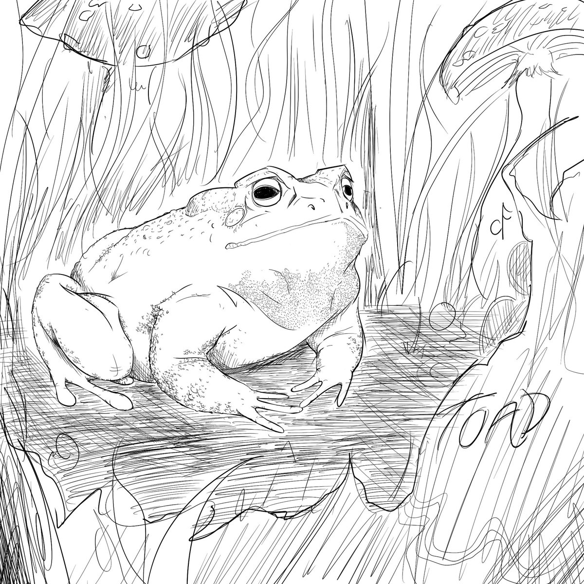 Chordfall's tweet image. Inktober day 8: Toad
#Inktober #inktober2023