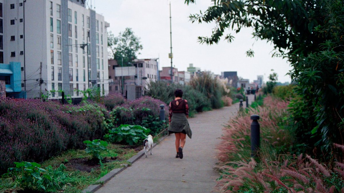 A propósito del #DíaMundialDeLaSaludMental, rescatamos el documental «Divergente», de <a href="/IbavenMichelle/">Michelle Ibaven</a>.

Cinco personas comparten sus experiencias en instituciones psiquiátricas y tratamientos psicológicos. Sus caminos se unen al reivindicar el derecho a vivir en la locura.