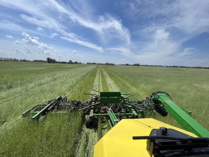 Jason Strand tweet media