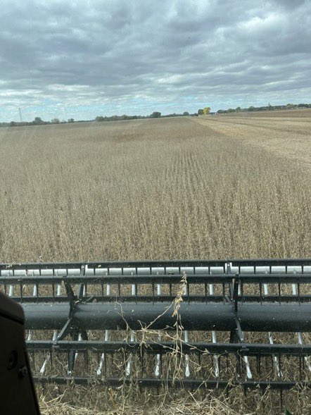 Jason Strand tweet media