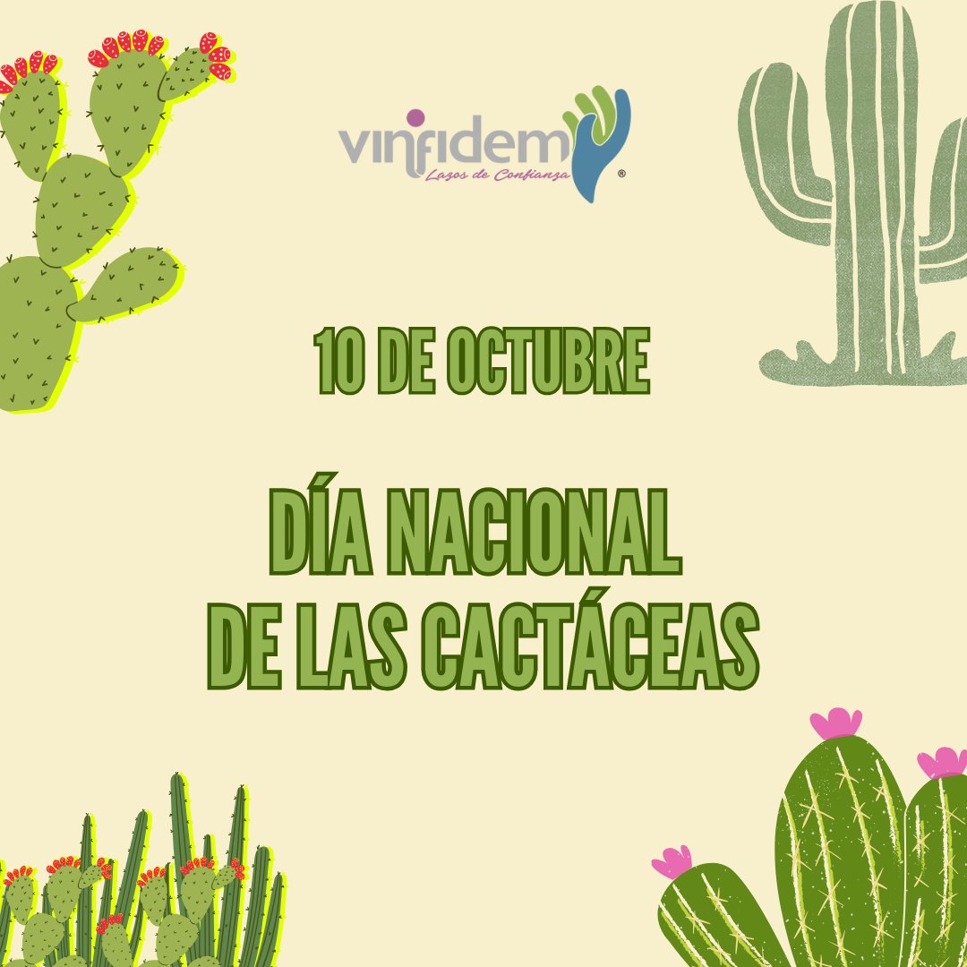 vinfidem's tweet photo. Hoy es el Día Mundial de las cactáceas🌵Se conocen casi 1400 especies y México alberca 669.  Protégelas, evitar comprar cactus sin conocer su procedencia legal.
#Cactáceas #Pitaya #Sahuaro #Cactus #díanacionaldelascactaceas #México #Sonora #Desierto #Naturaleza https://t.co/YYJJnlkV2H