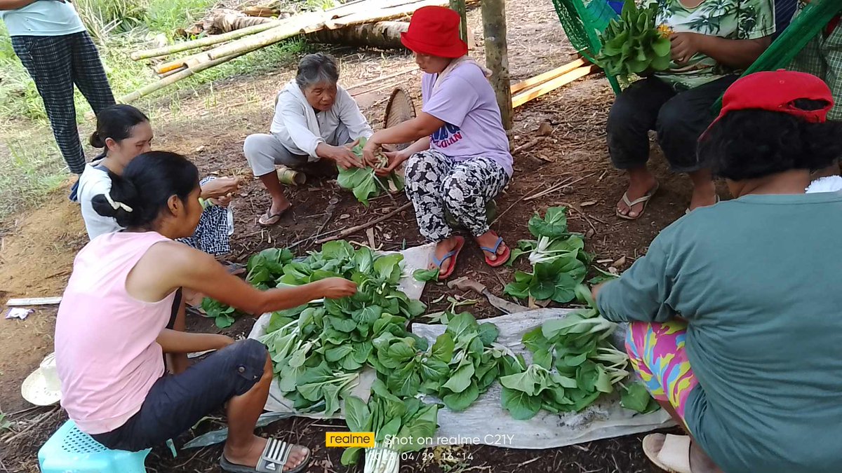 UNDPPH's tweet photo. ๐
๐ซ๐จ๐ฆ ๐๐ซ๐๐ฌ๐ก ๐๐จ๐ฅ๐ฅ๐๐๐ญ๐ข๐จ๐ง ๐ญ๐จ ๐๐จ๐ฅ๐ฅ๐๐๐ญ๐ข๐ฏ๐ ๐๐ซ๐๐ง๐ฌ๐๐จ๐ซ๐ฆ๐๐ญ๐ข๐จ๐ง: Rural Womenโs Remarkable Journey of Building #ResilienceForAll
๐๐๐๐ this #DRRDay2023 blog on how #SHIELDph is empowering women farmers amid disasters: https://t.co/RaZU8xjkPd https://t.co/pu6n0nq2RI