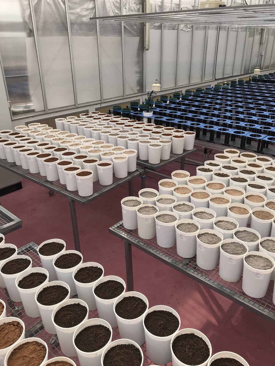 TreeMicrobiome tweet media