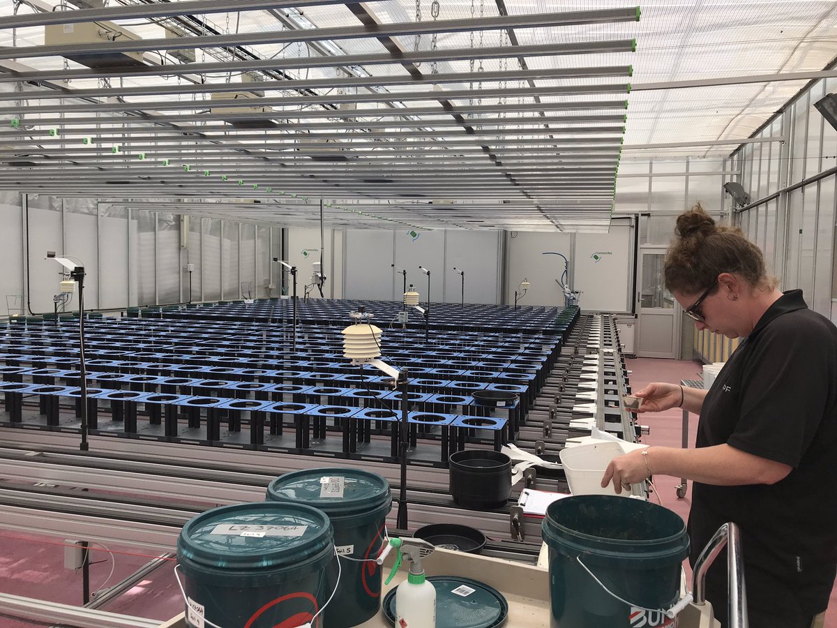 TreeMicrobiome tweet media