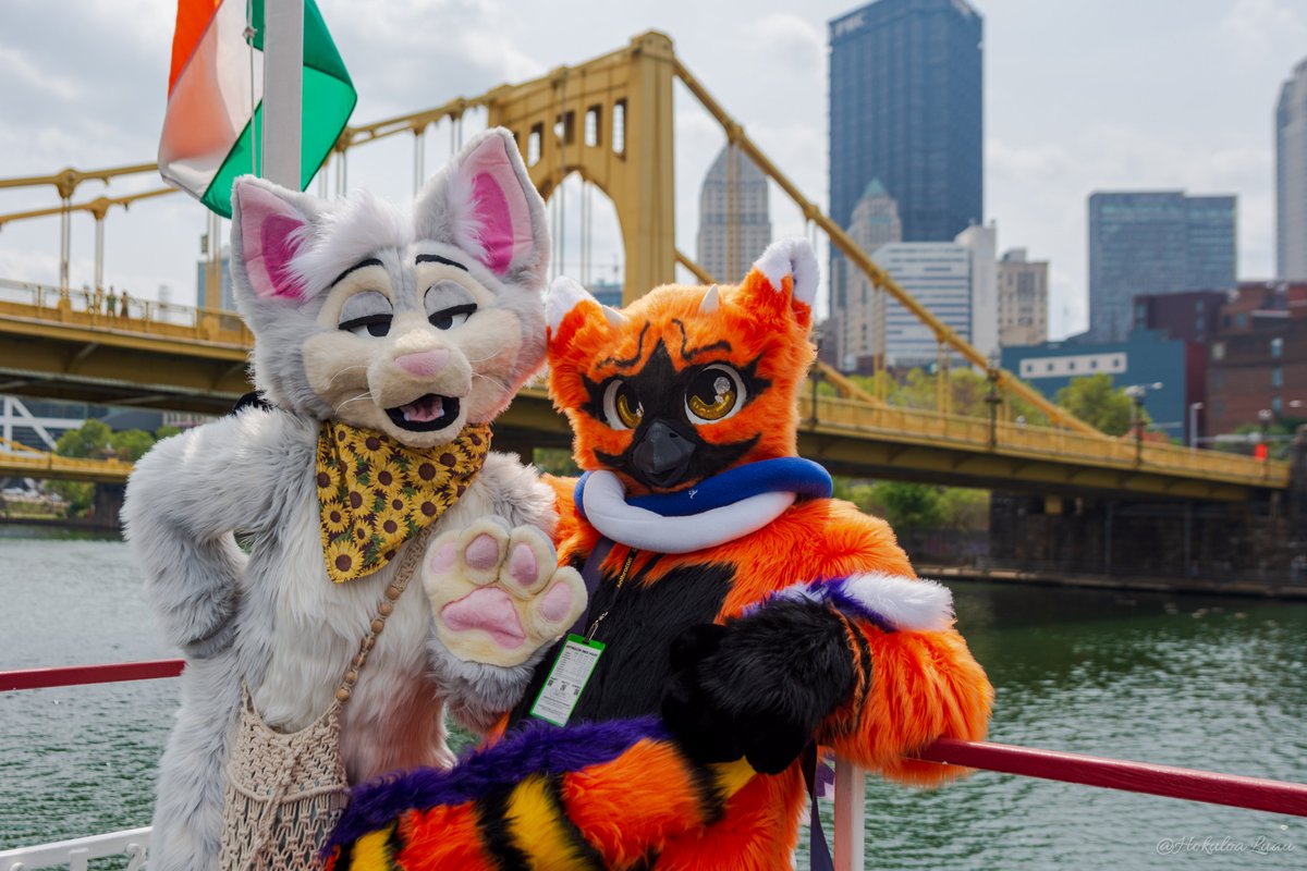 Anthrocon, Inc. tweet media