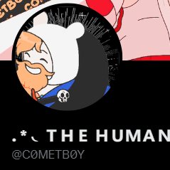 . * ◟THE HUMAN ` tweet media