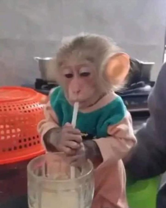 yo fingiendo no prestar atención al chisme de al lado