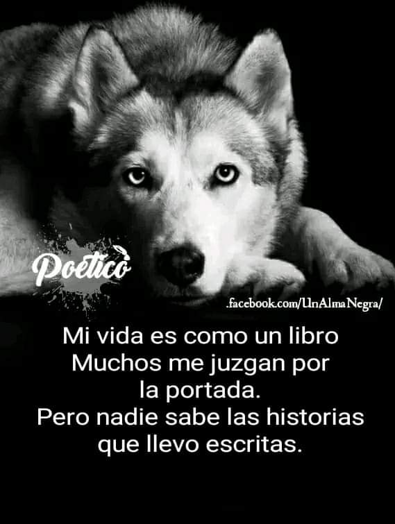 SilviaVSixtos's tweet photo. Cierto https://t.co/lwsWT7nNTx