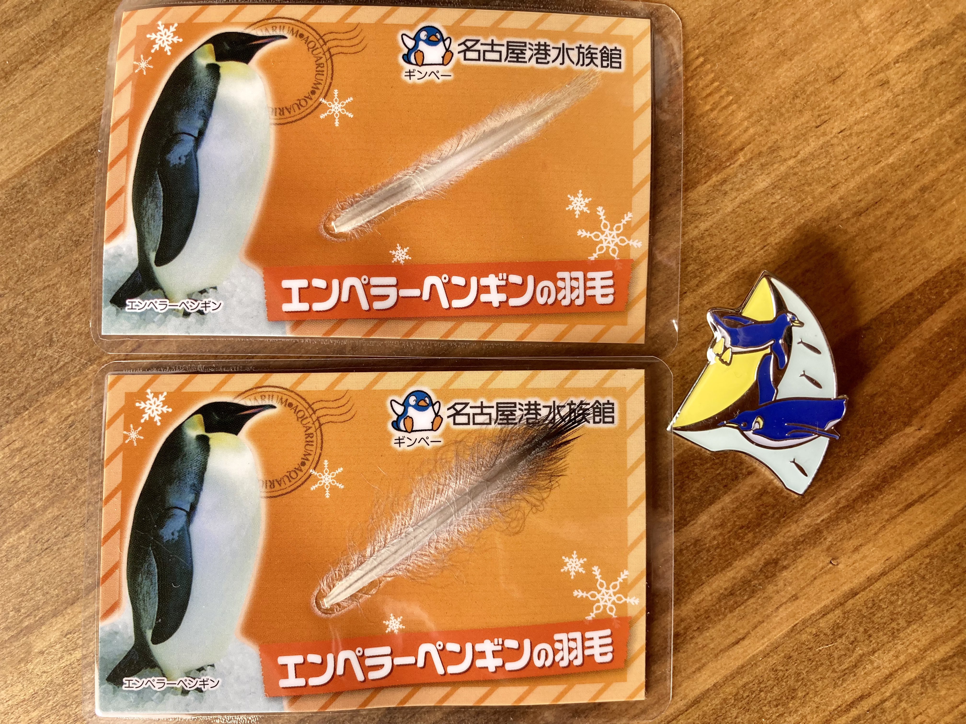 名古屋港水族館 ペンギンの羽根キーホルダー 全4種セット Amazon.co.jp