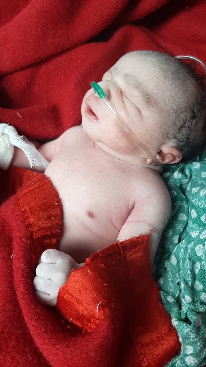 my new born baby boy born on 18th 2:44 pm september 2023 Monday   today is 23days old boy