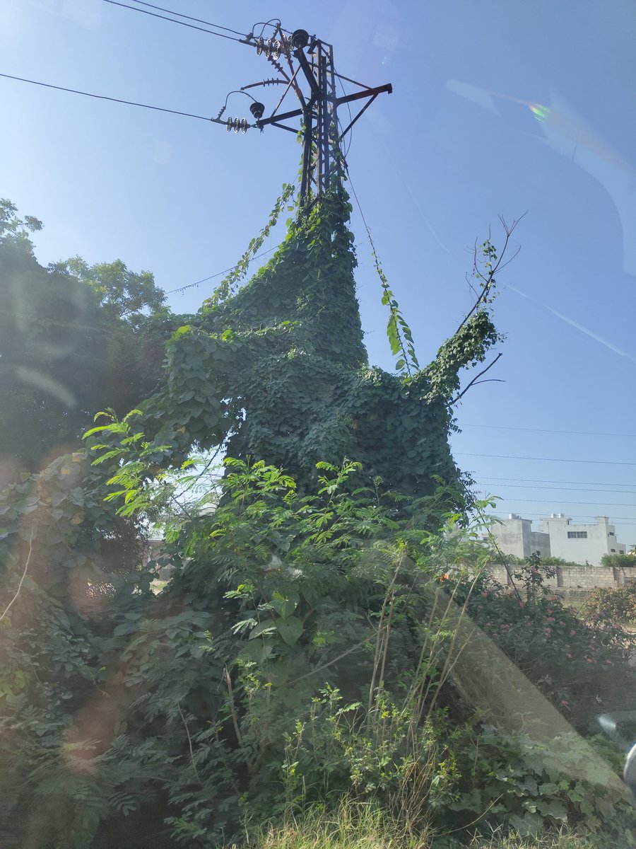 Rajeshwar_BPCL's tweet photo. @JVVNLCCare @RajGovOfficial  location: Near JVVNL Bhankrota ! This is the situation of electricity department. Can't take care of the nearby electrical pole. What  public will expect. https://t.co/Ko8axvJjJj