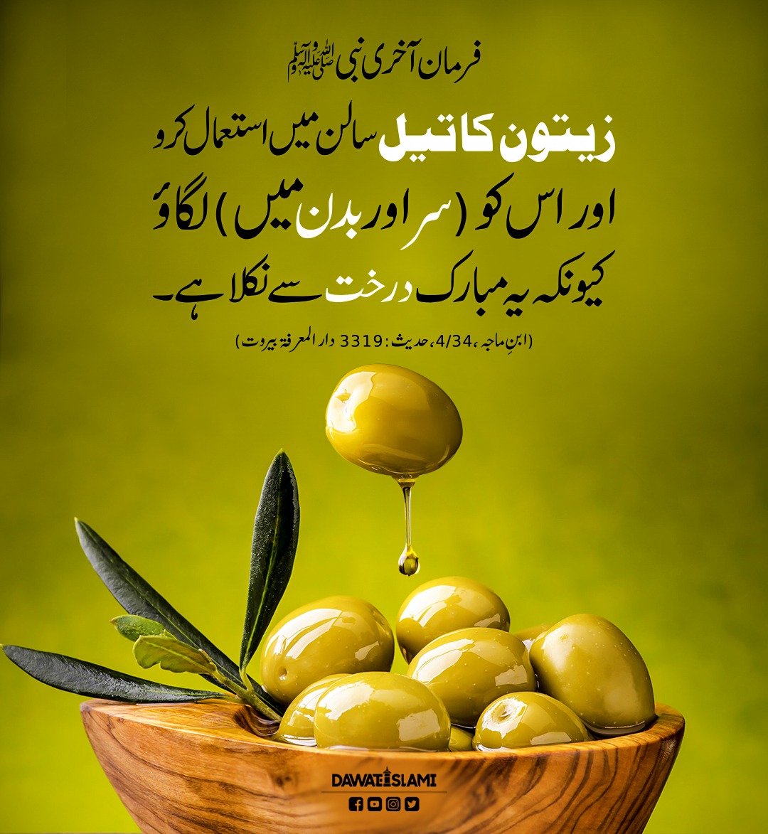 MADANIinfo's tweet photo. زیتون کے تیل کے  بارے میں فرمان نبویﷺ

#ProphetMuhammadﷺ https://t.co/D4DwrfYGXG