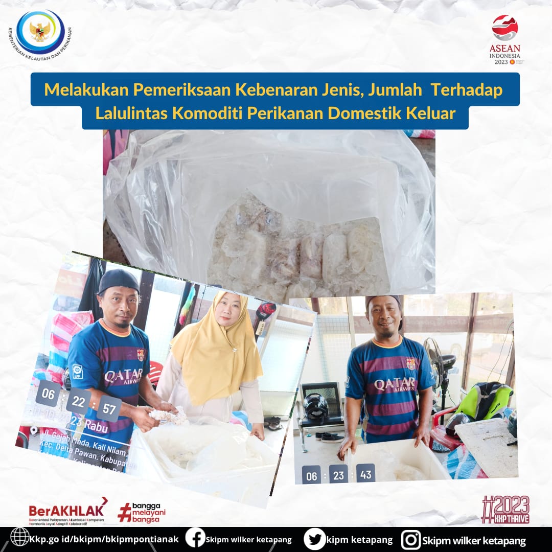 KIPM_ketapang's tweet photo. 11/10/23 Petugas  melakukan pemeriksaan kebenaran jenis, Jumlah terhadap lalu lintas komoditi perikanan Domestik Keluar.

@JimmyElwaren
@Victory_NADS
@TRIANDANA_FQI
#KKPThrive #EkonomiBiru #MenteriKKP #SaktiWahyuTrenggono https://t.co/le2YVBRd1e
