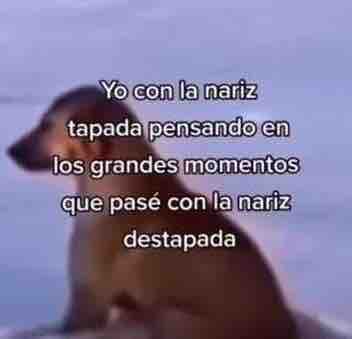 El Guarromántico (@guarromantico_) on Twitter photo 