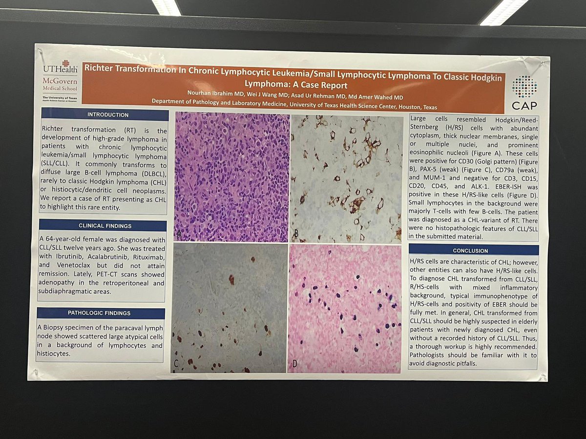 UTHealth Houston Pathology tweet media