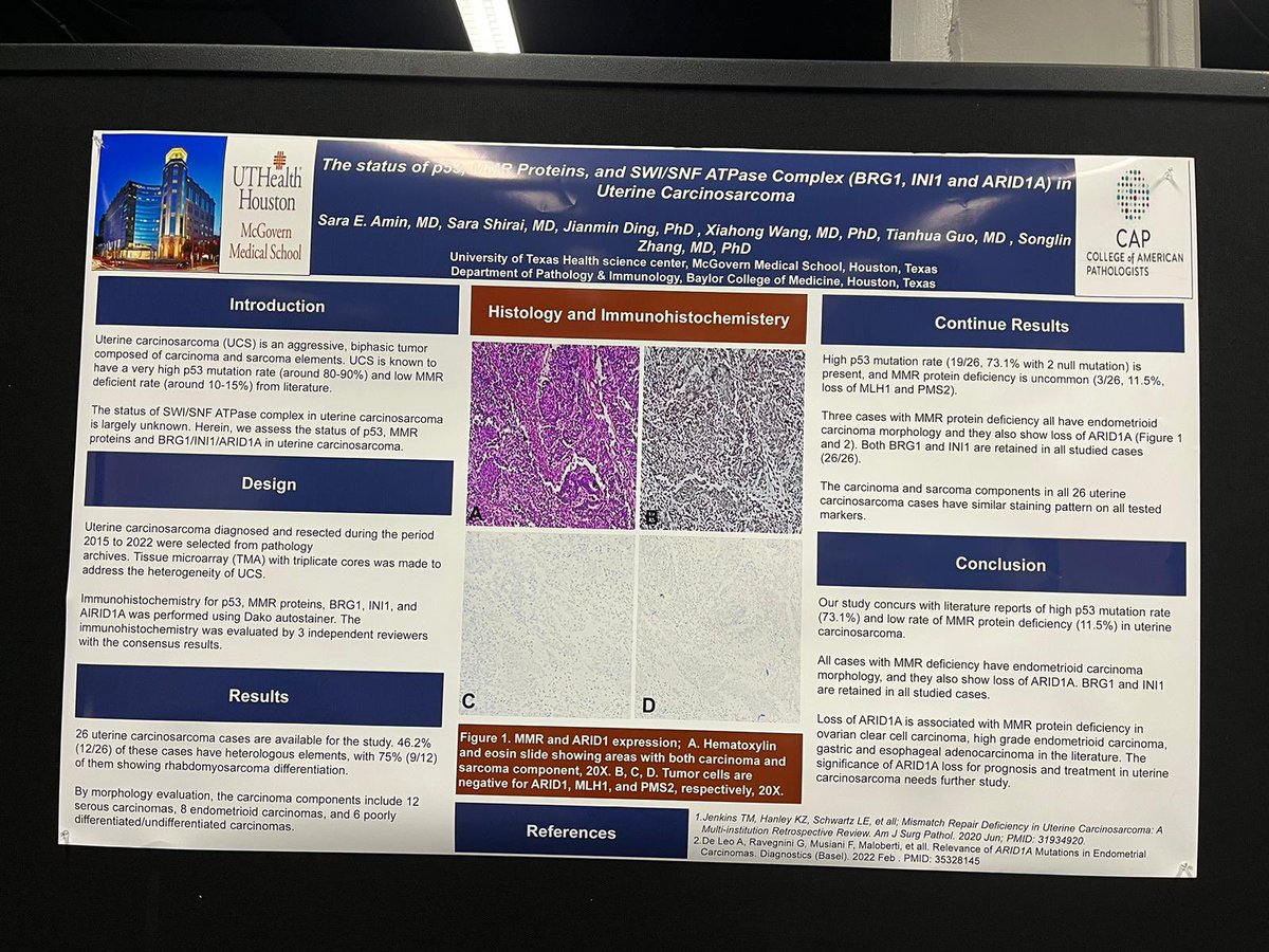 UTHealth Houston Pathology tweet media