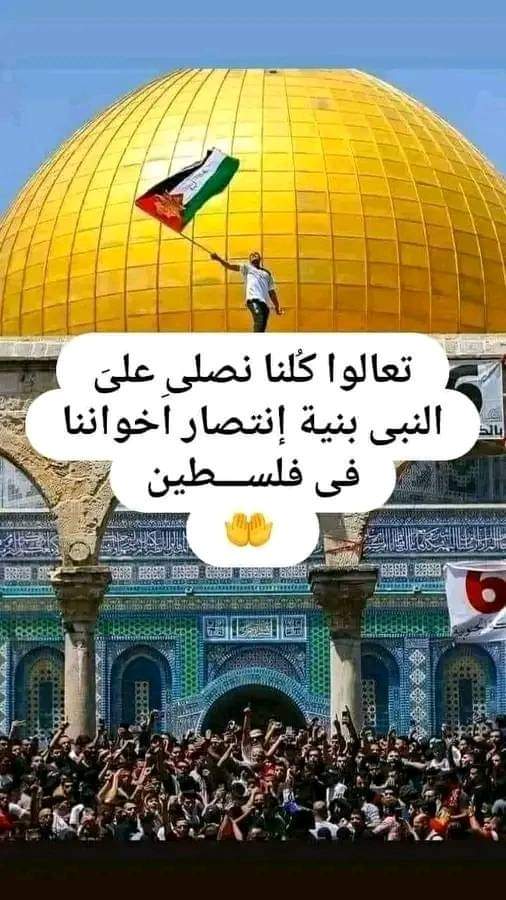 Samy Salman tweet media