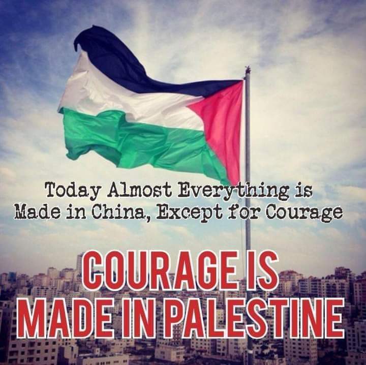 Free Palestine!