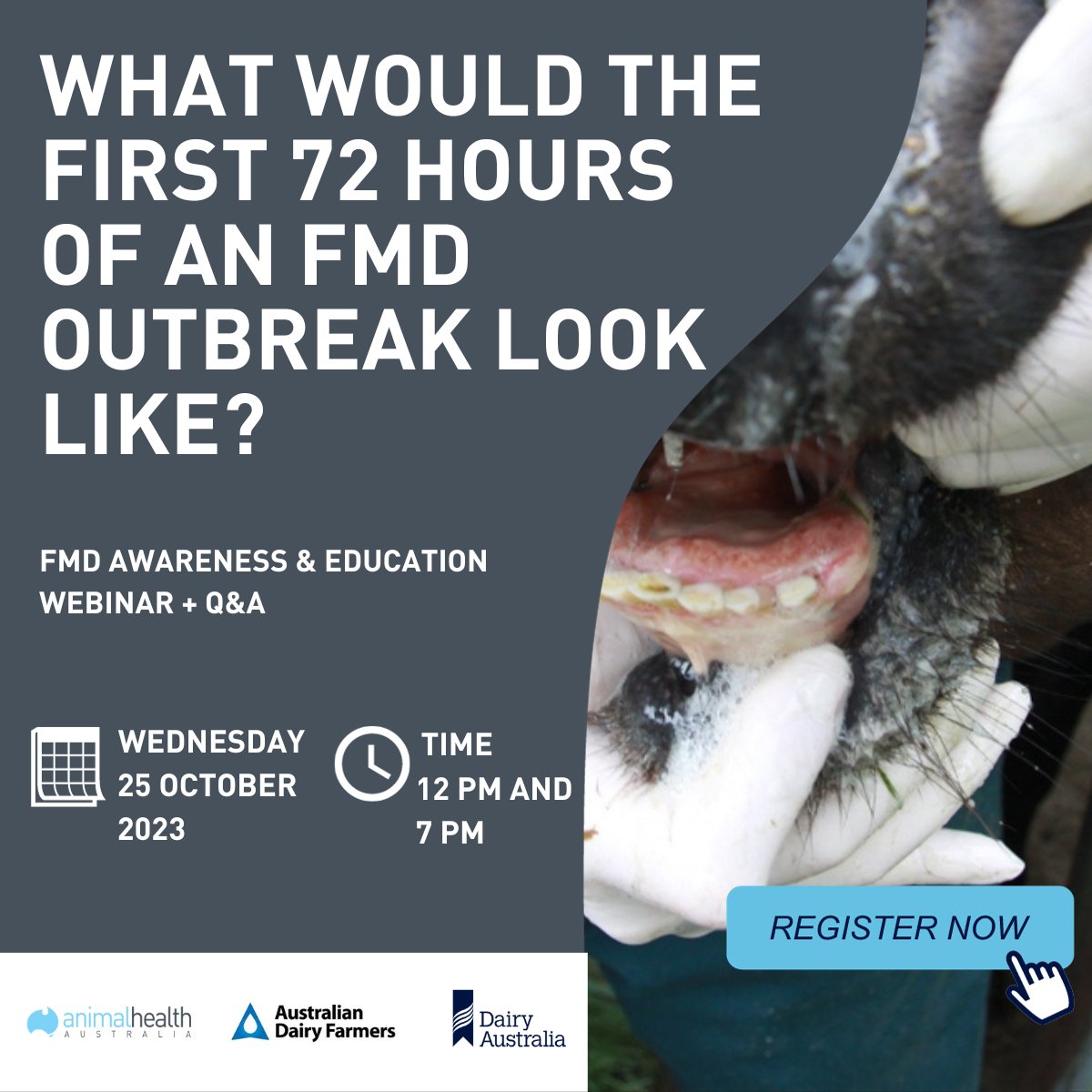 animalhealthAUS's tweet photo. 🐄 FMD Awareness Webinar for Dairy!

25 Oct 12pm: https://t.co/LW3yjoiMAi
25 Oct 7pm: https://t.co/QDq4wxzCJn

Discover animal disease response, its impact on dairy &amp; risk minimisation. Dive into EADRA &amp; AUSVETPLAN.

@AusDairyFarmers @Dairy_Australia #AnimalHealth #AusAg #Webinar https://t.co/Url145ejsf