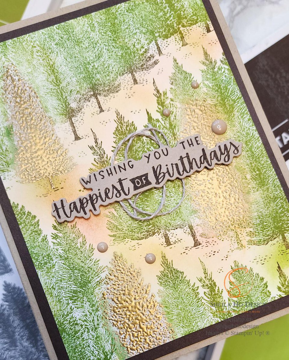 sheilahodesign's tweet photo. It's Coast to Coast Creators Blog Hop featuring autumn colours! Check out these amazing cards starting with mine! Hop along in today's blog post

https://t.co/fOpQdmcv3T

#bloghop #coasttocoastcreators #handmade #cards https://t.co/pwaJVxwgfk