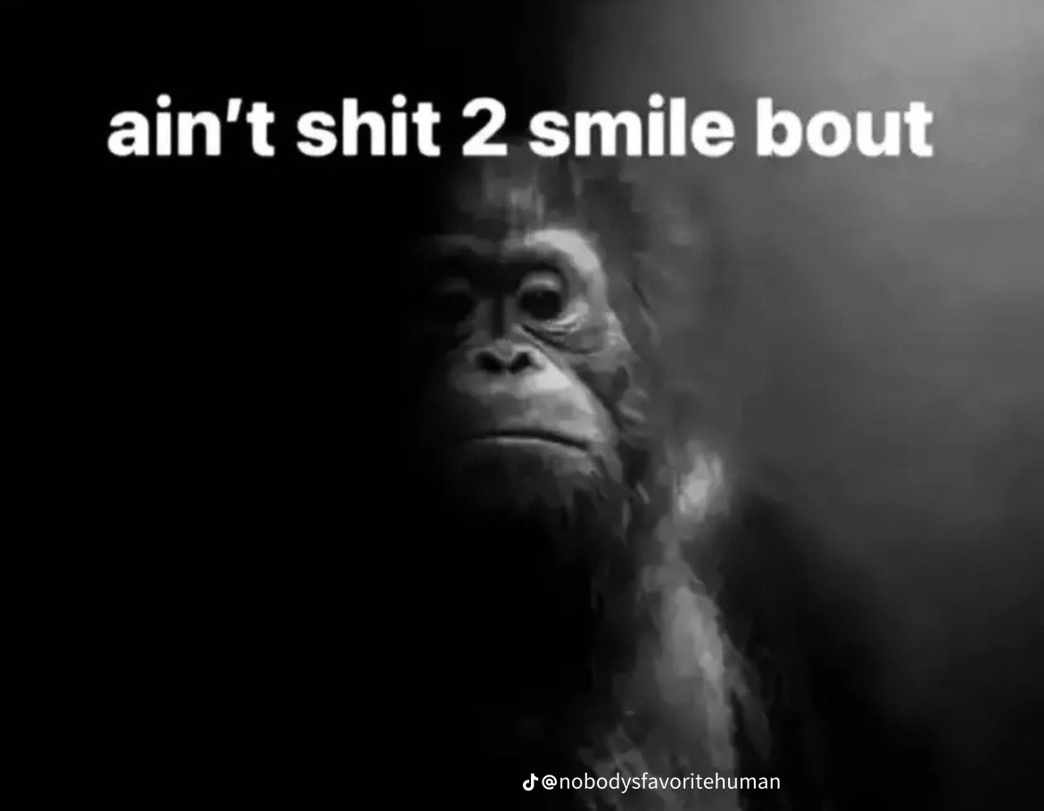 Chars1036's tweet photo. @TTMBarney @Jaffa1620 Me finding out I can get older https://t.co/O54nugf4ST