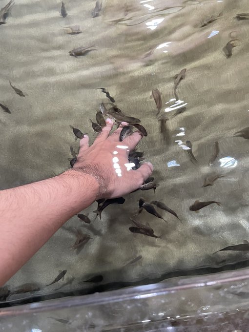 ちゅっ❤️ちゅっ❤️ 