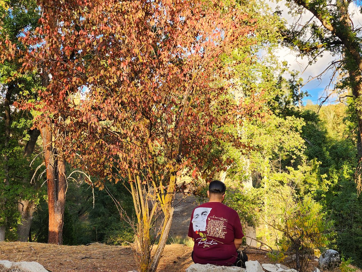 Official6ow's tweet photo. Más Vida / Oakhurst 📍 

I exist in the Depths of Solitude 
pondering my True Goal
Trying 2 find my true peace 
and still preserve my soul 
-Tupac Shakur #2Pac

#oakhurst #másvida #vacationmode #2pac #livelife #primitive #blessed https://t.co/e7sucRSFGL
