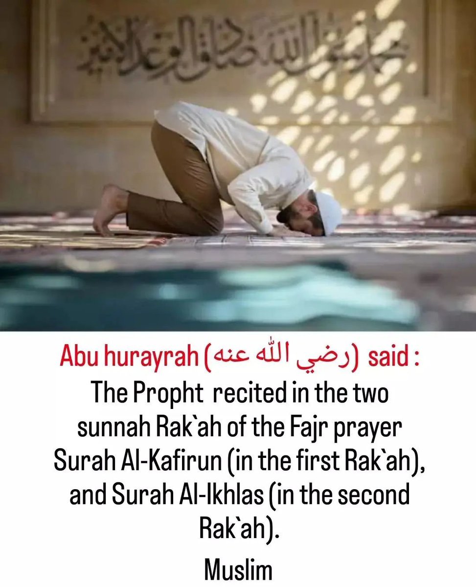 7signxx's tweet photo. The two Sunnah rak'ahs before dawn are better than the whole world and everything in it... https://t.co/hQYKImM6f3