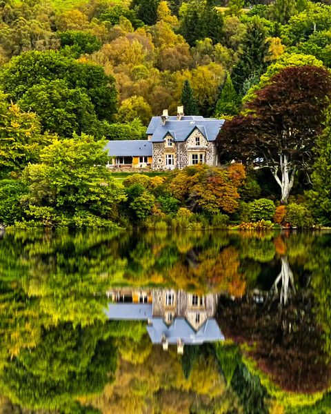 Scottish_Banner's tweet image. Reflection perfection at #LochArd 🍁🍂
Great 📷: IG: eadietam
#Scotland #LoveScotland #ScottishBanner #ScotlandIsCalling #Alba #VisitScotland #AmazingScotland #BeautifulScotland #Nature
