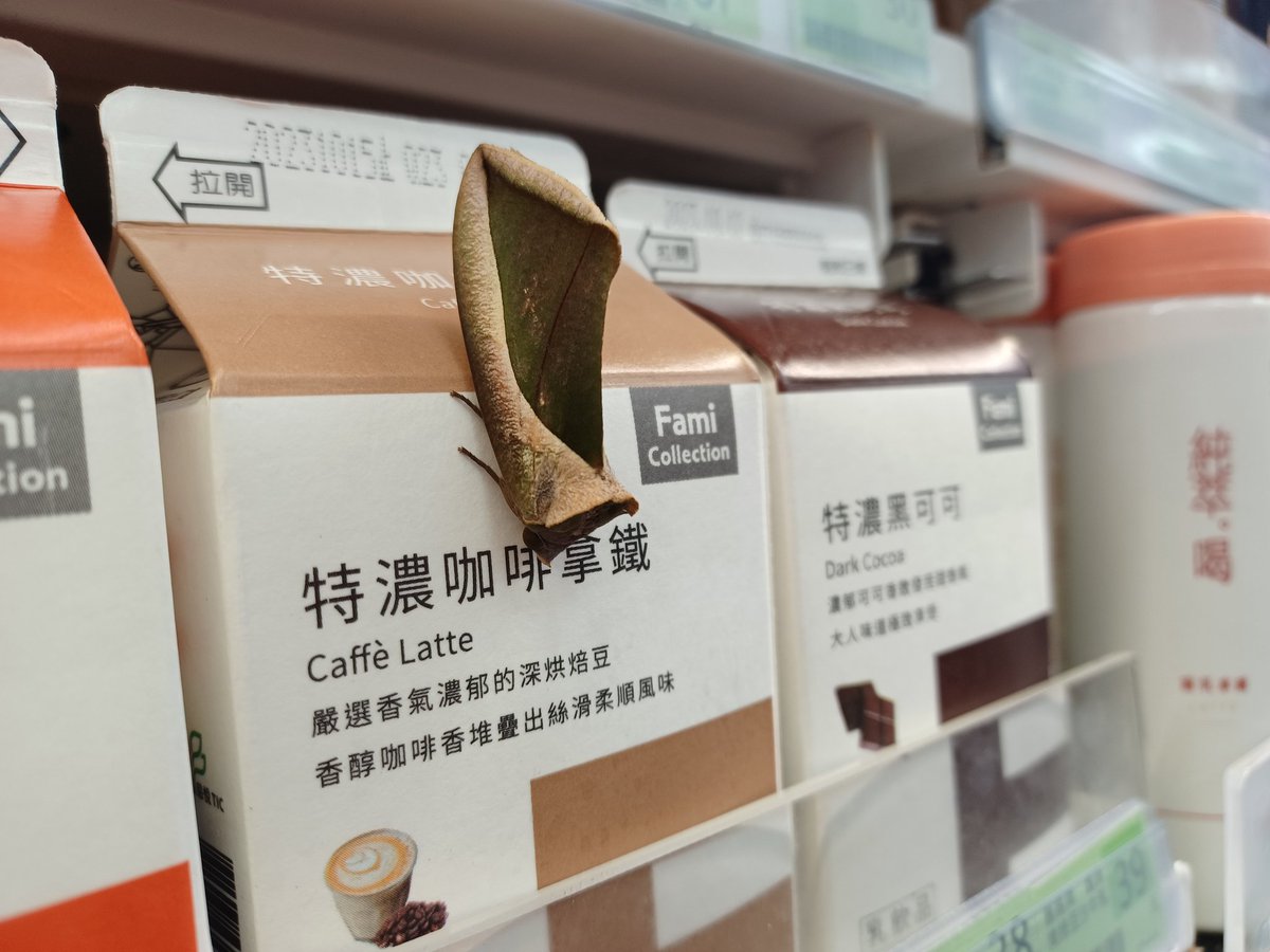 這是什麼蟲？
這是蟲嗎？ https://t.co/T8G3qYgt2I