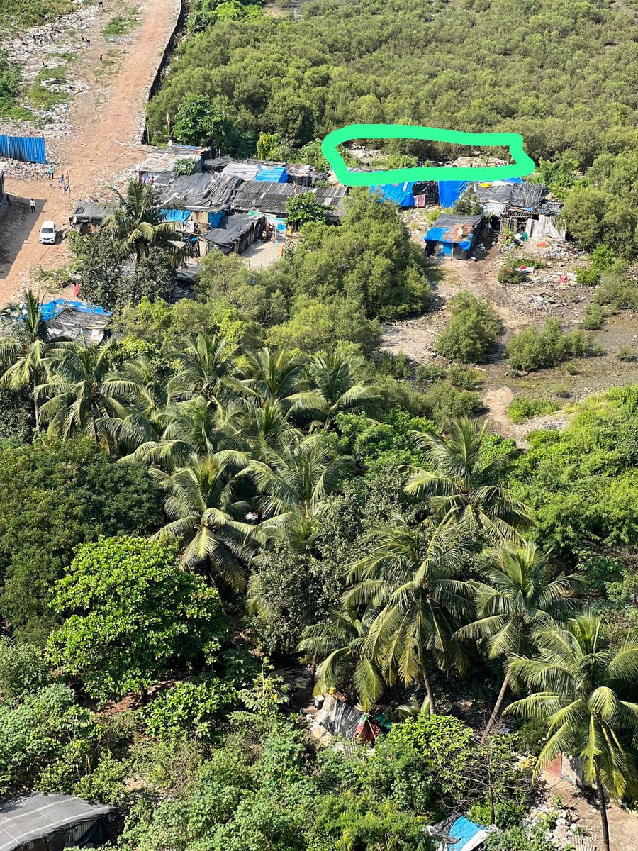 Rohan Patil tweet media