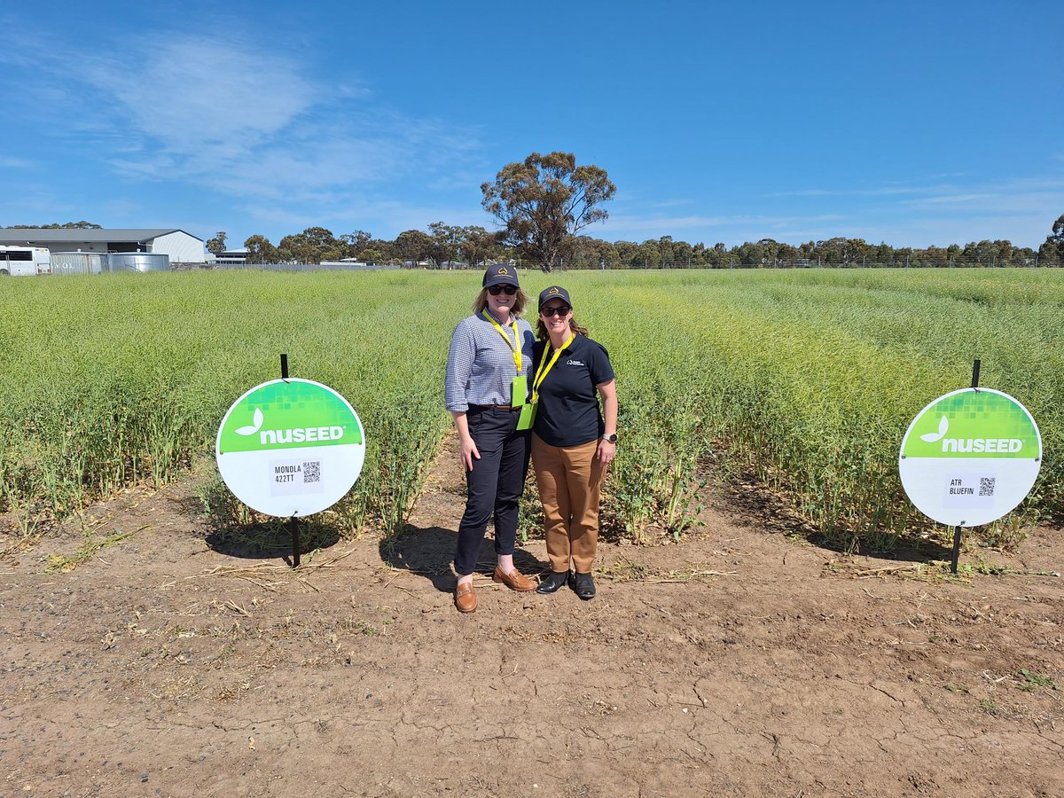 AusSeedFed's tweet image. Celebrating 10 years of @NuseedAustralia Innovation Centre in Horsham. Great to catch up with members, PhD students from the @futurecropsAU and hear about the goals of #valuebeyondyield.