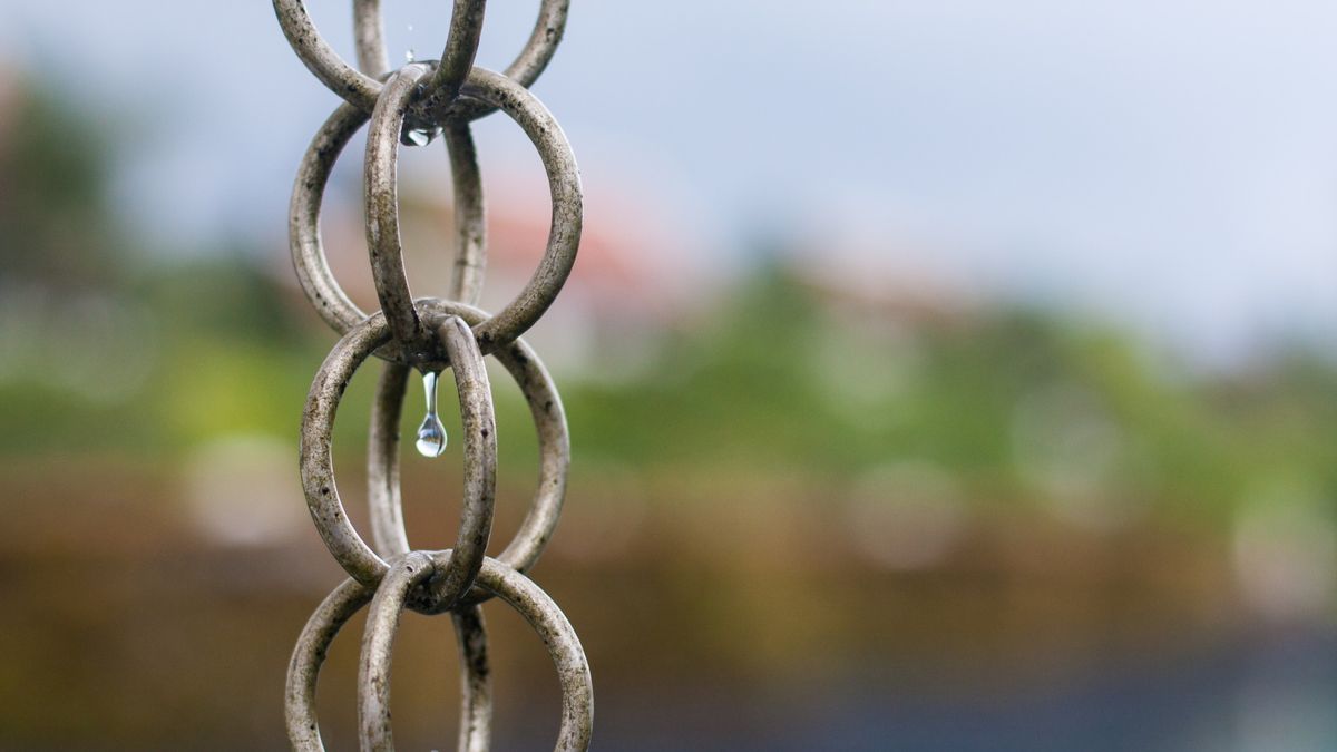 homesandgardens's tweet photo. 6 reasons to install a rain chain – this sustainable system will benefit your yard https://t.co/sKzwqJIGvY https://t.co/ComIRFFj95