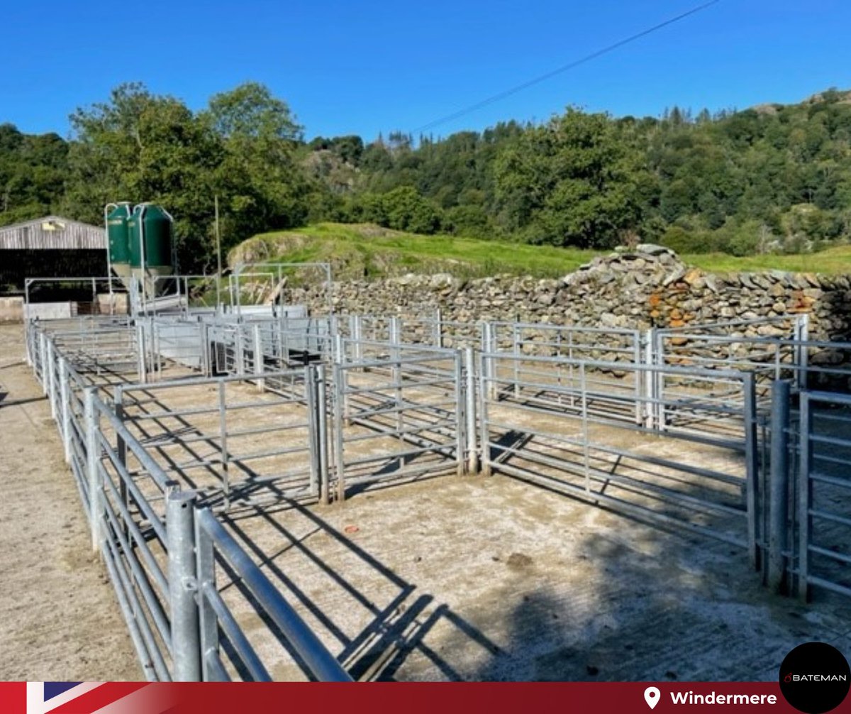 LMBateman79's tweet photo. 🆕 Bespoke Sheep Handling System for a customer based in Rydal, near Windermere 🐏

📷 Geraint Jones, Wales and North West England Sales Manager

Need to find your local sales manager? Contact the head office now 
☎️ 01538 361326
📥sales@lmbateman.co.uk https://t.co/1gZ0k51brw