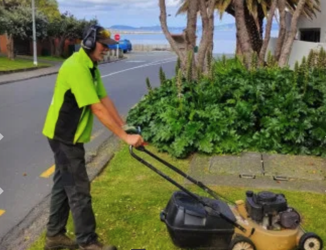 nzbizbuysell's tweet image. Take the reins of a well-established business and make it your own! Lawn and Garden Services Franchise for Sale Upper Hutt... ow.ly/4gQa50PUqQ2 #upperhutt #lawns #franchiseforsale #nzbizbuysell