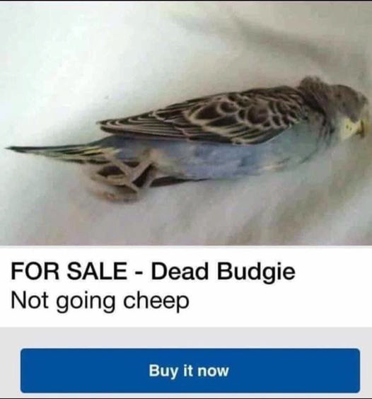 DunkenKBliths's tweet photo. #Bargain #ButNot ! https://t.co/wlJ4jS4HOL