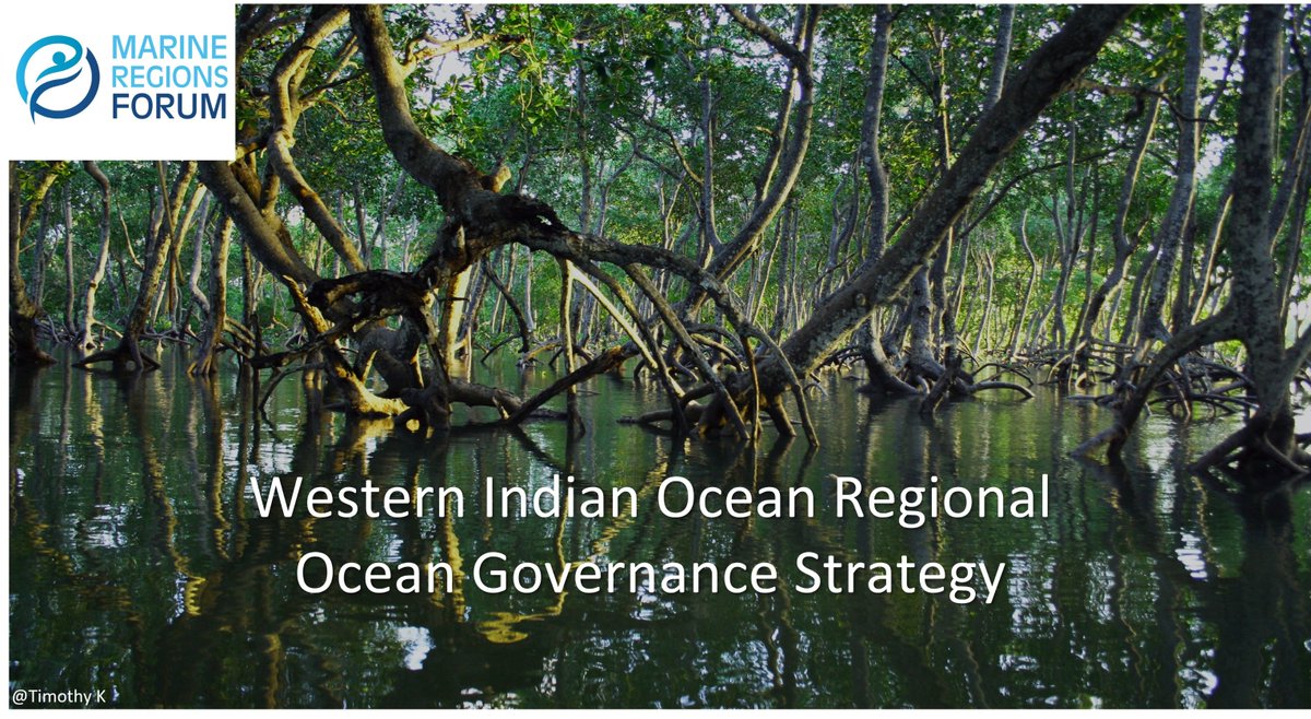 #MRF2WIO is near! 🌊 Exciting news -@dobura will address the triple planetary crisis: climate change, biodiversity loss, and pollution in the plenary session on Nov 7th in Dar es Salaam🌍 prog-ocean.org/marine-regions… #BBNJ #OurOcean #ClimateCrisis #Pollution #biodiversity