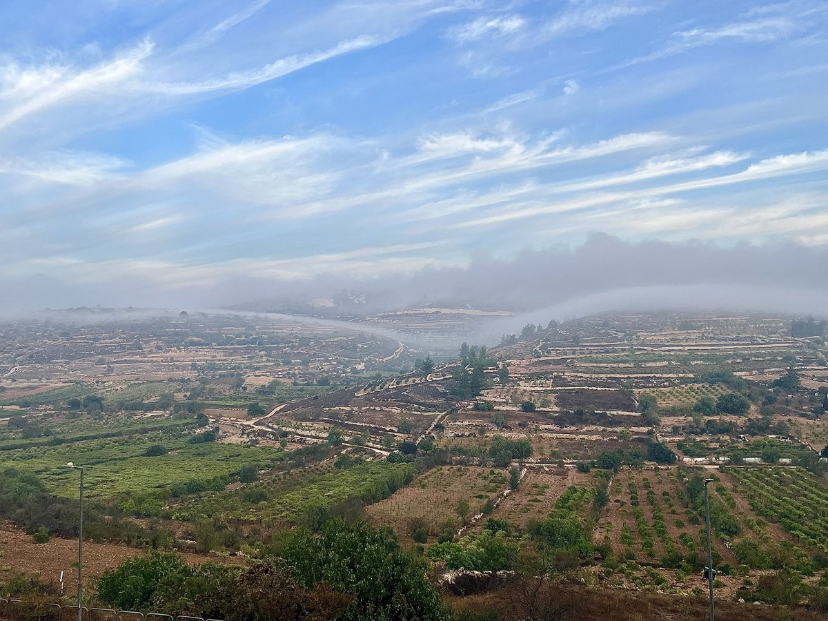 Liron Kopinsky 🇮🇱 Am Yisrael Chai tweet media