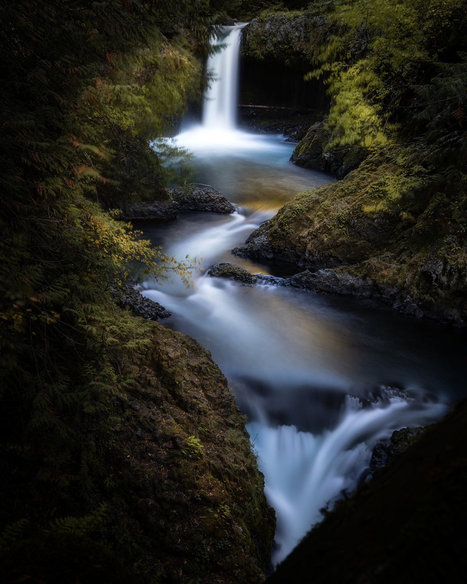 Down below, the river flows. 
.
.
#leavenotrace #oregon #pnw #oregonwaterfalls #oregonexplored #pnwcrew #traveloregon #pnwonderland #oregonpnw #oregonisbeautiful #traveloregon #onlyinoregon #oregonlife #discoveroregon #pacificnorthwest #visitoregon #bestoforegon #rawimpact