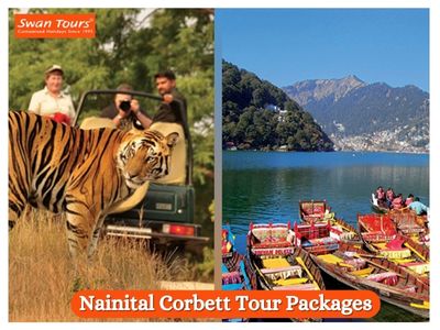 swantours's tweet photo. Book customized Nainital Corbett tour packages with exciting deals &amp; offers.

Visit: https://t.co/5Owws1xoMM

#TouroperatorsinIndia #Touroperators #travelagentsinindia #TravelAgentsinDelhi #touroperatorsinindia #swantour
#NainitalCorbetttourpackages https://t.co/APEGQsd0Tc