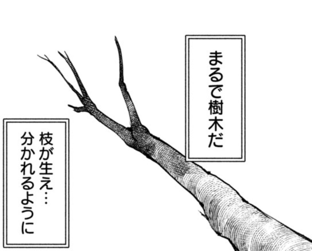 オトナプリキュアおっかなびっくり視聴。 冒頭で『これは多岐に渡る選択のうち一つのお話…』みたいなシーンがあったから心穏やかに見れました(←厄介なオタク)