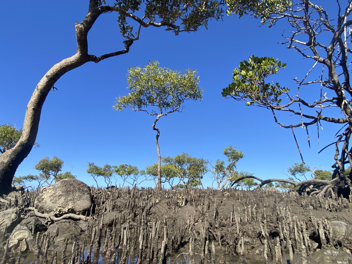 Prompting is fun… but nothing beats the real thing! 😉💚🌱#LetsGrow!