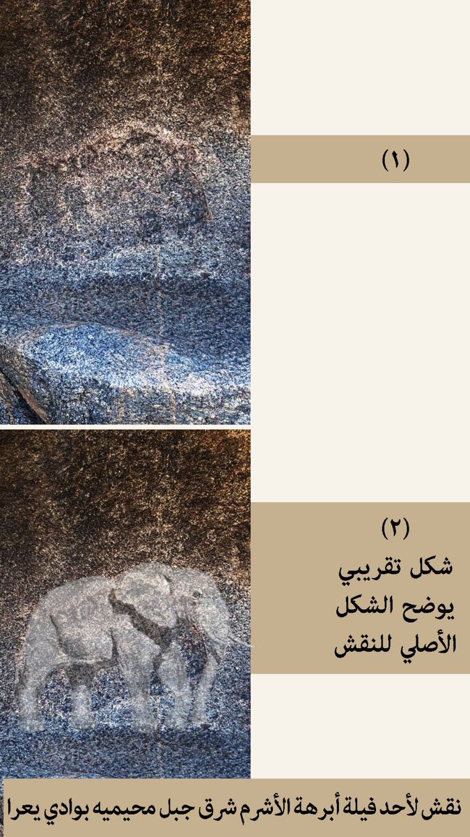 فلاح الوتيد ناهس الشهراني tweet media