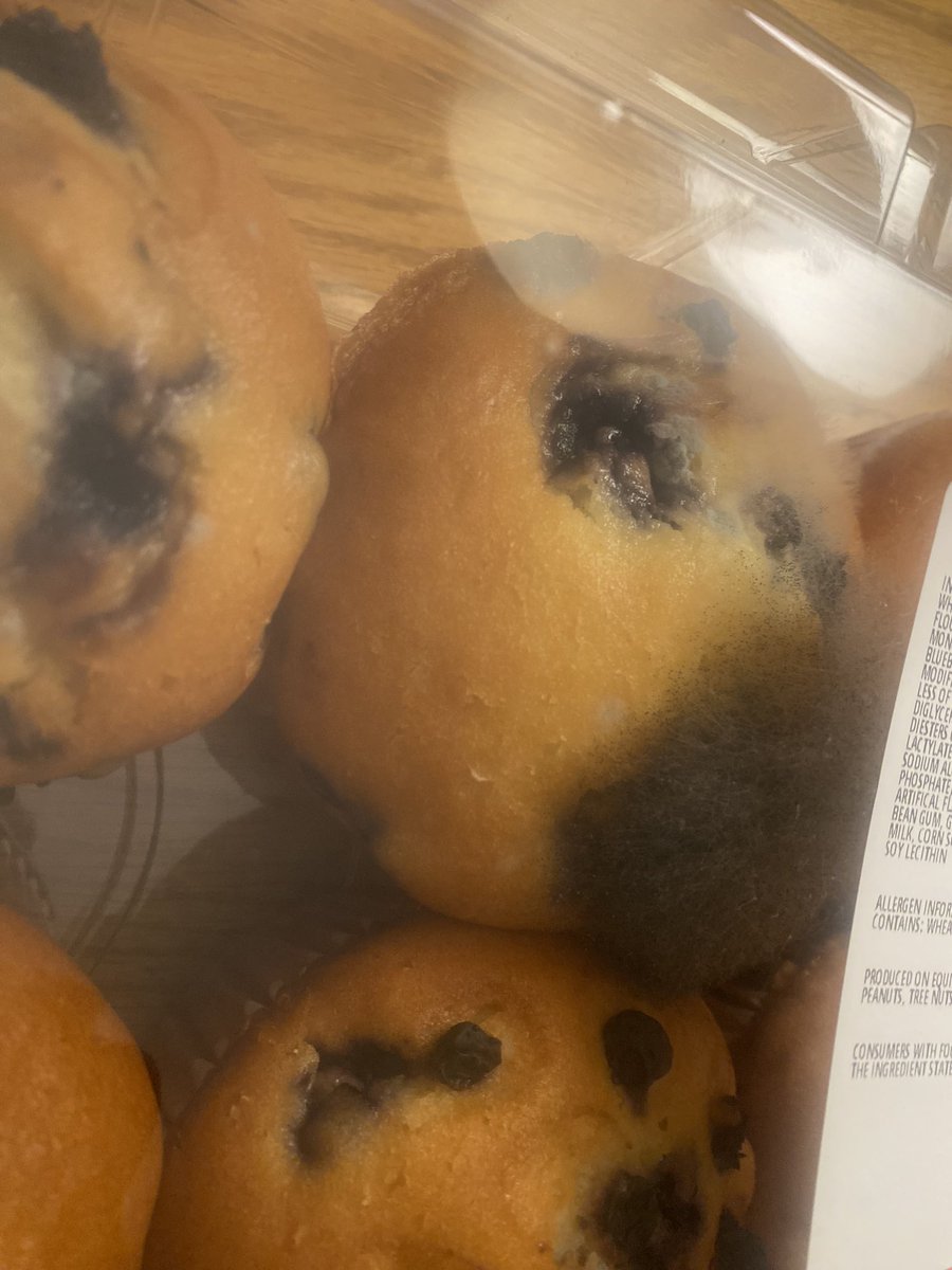 NESQUIK_GEM's tweet photo. @Costco I would like to report that I bought blueberry muffins from your Lakewood California Establishments on Oct 4th, 2023 and today on Oct 10th my blueberry muffins are in full mold development. This issue needs to be resolved https://t.co/2lKXgnudUP