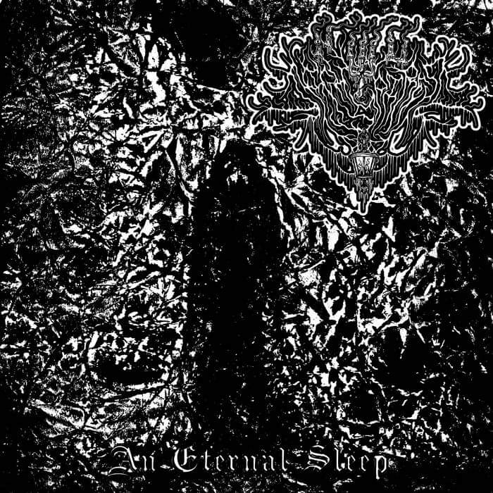 BMplusLegions's tweet image. Night Spires
Black Metal
Burlington, Vermont - USA
Demo - An Eternal Sleep
Release date - August 13th, 2021
Bandcamp - nightspires.bandcamp.com/album/an-etern…