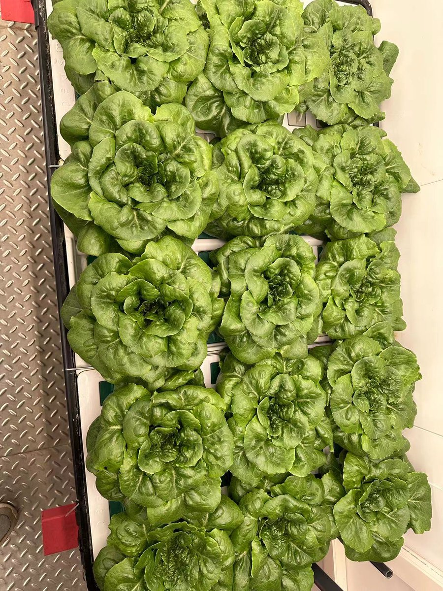 GrowSpec Biotech | Grow More Efficiently tweet media