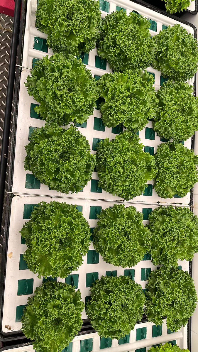 GrowSpec Biotech | Grow More Efficiently tweet media