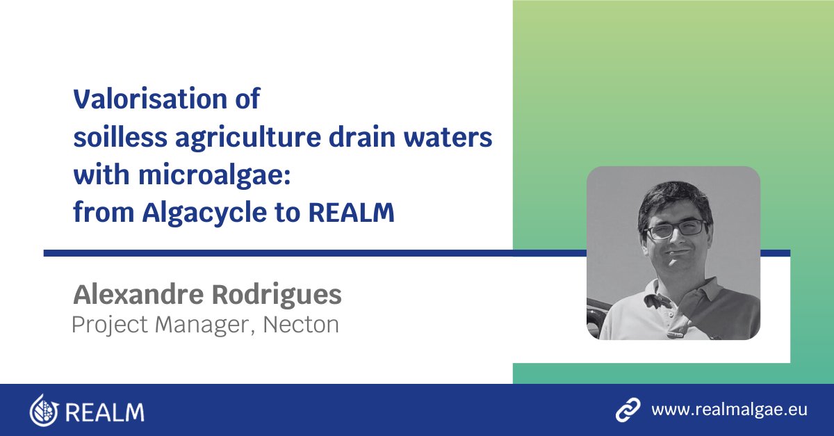 Our #microalgae expert from @Phytobloom will talk about the potential of growing algae in #greenhouse wastewater at the Blue Growht Programme event ⬇️ 🗓️ 17th October, 10 AM 🇵🇹 Douro and Leixões Cruise Terminal, Portugal Info & registration: eeagrants.gov.pt/en/programmes/…