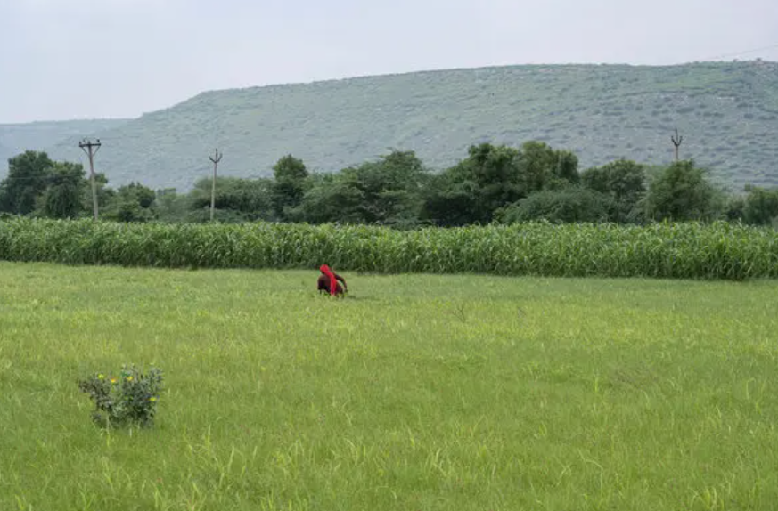 SLSVPurpose's tweet photo. How a Radio Station Is Empowering Women in a Rural Heartland
https://t.co/wx1PGUVLRo
#SLSV #SLSVPurpose #ChangeMaker #Efforts #purpose #women #womenempowerment #empowerment @sehgalfdn https://t.co/R3nrBho7r7